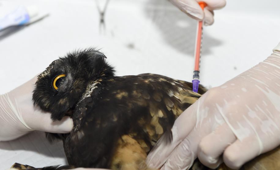 Foto de tratamento no CETRAS Unicentro