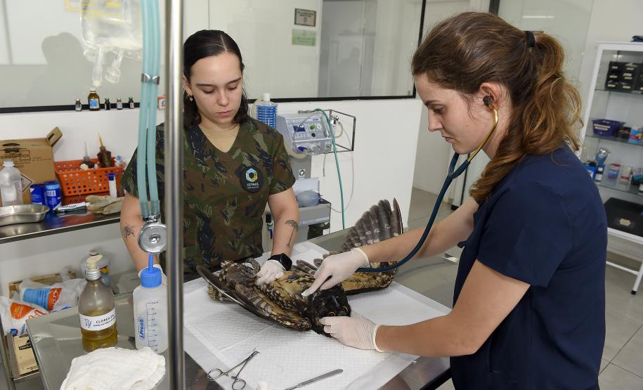 Foto de tratamento no CETRAS Unicentro