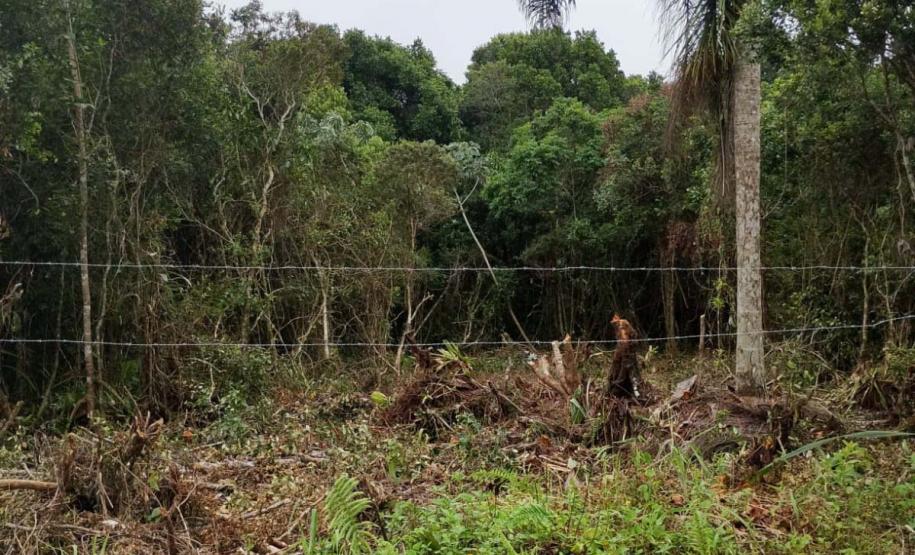 Foto de operação de fiscalização do IAT