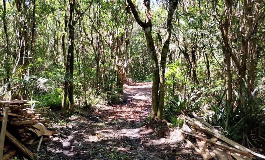 Foto de operação de fiscalização do IAT