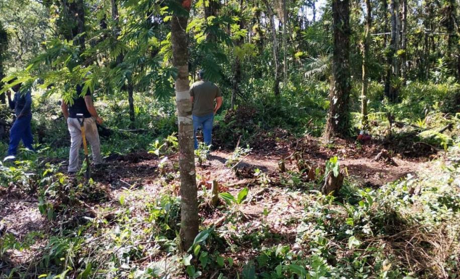 Foto de operação de fiscalização do IAT