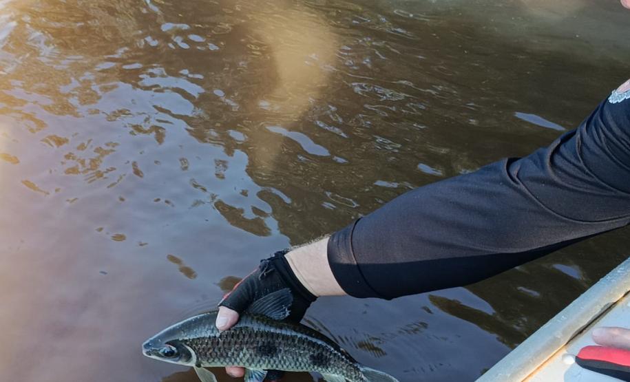 Foto de operação de fiscalização da Piracema do IAT
