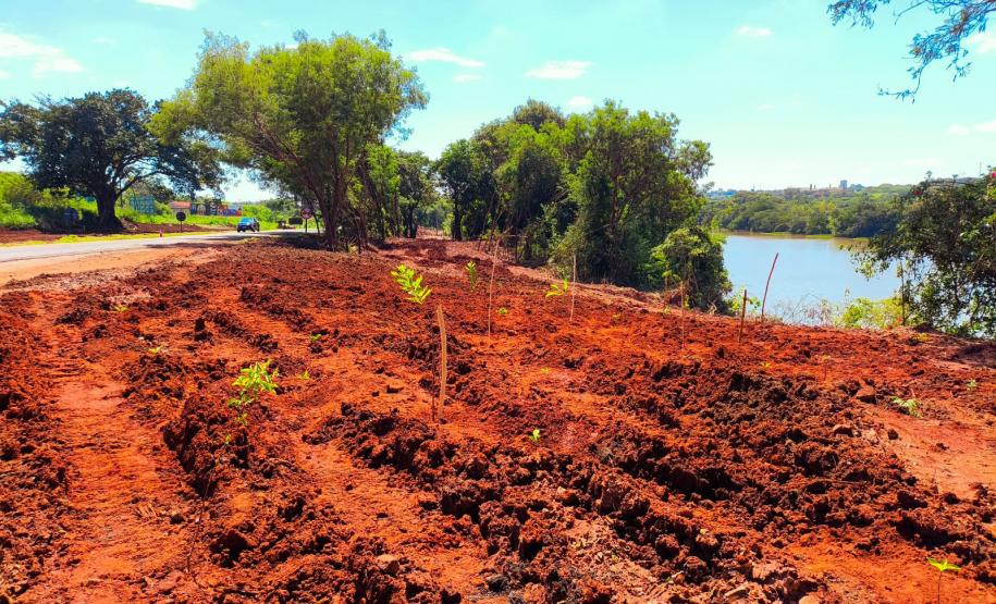 Foto de ação educativa