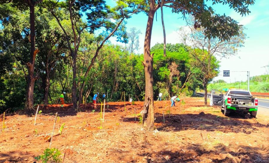 Foto de ação educativa