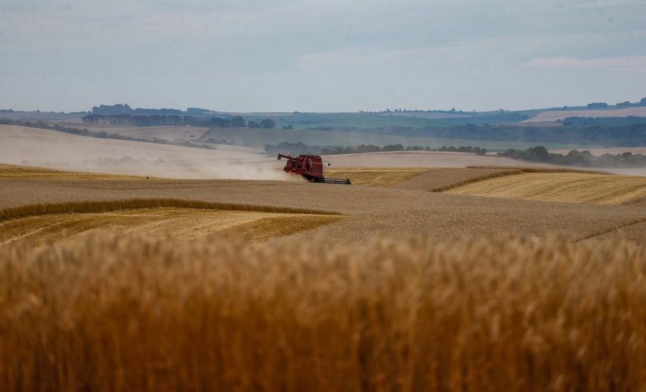 Foto de paisagem no pôr do sol