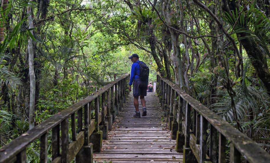 Foto de visitantes no Parque Estadual Rio da Onça