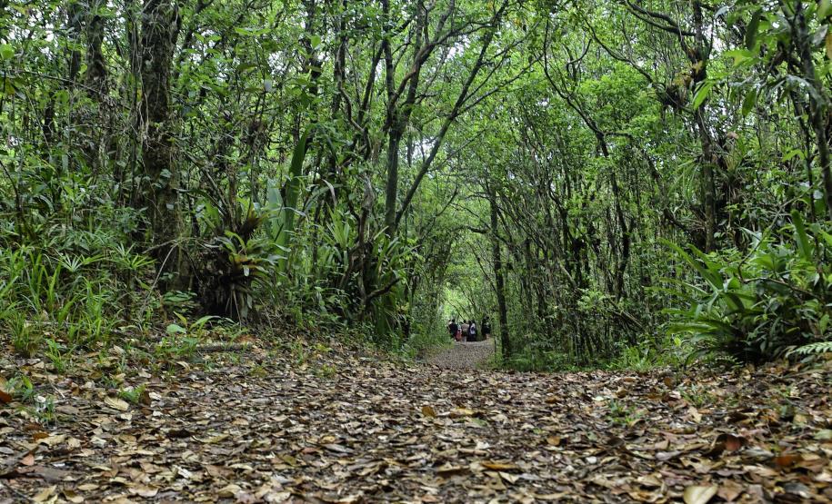 Foto de visitantes no Parque Estadual Rio da Onça