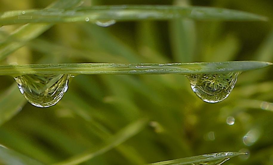 Foto de canos de água