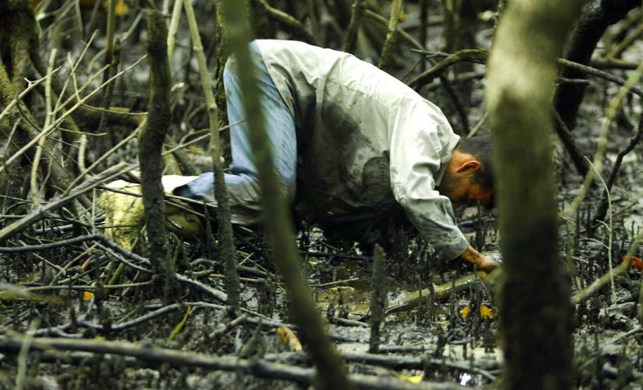 Foto de captura do caranguejo