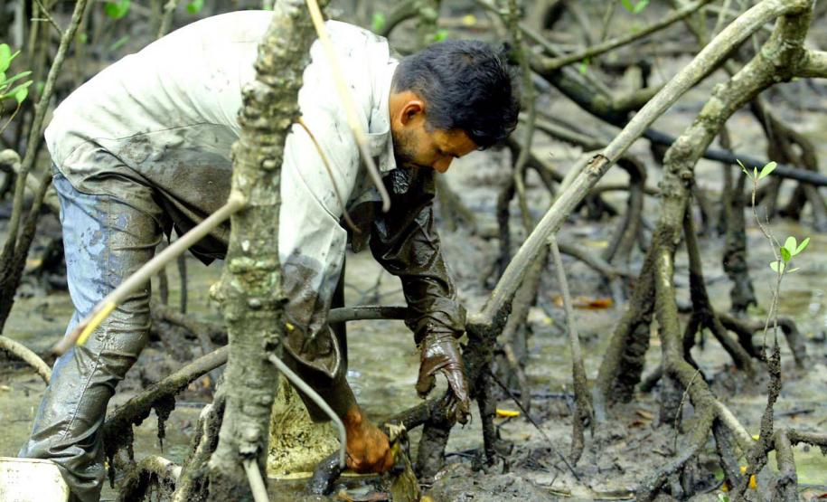 Foto de captura do caranguejo