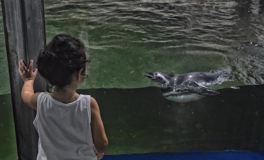 Foto de passeio no Paraná