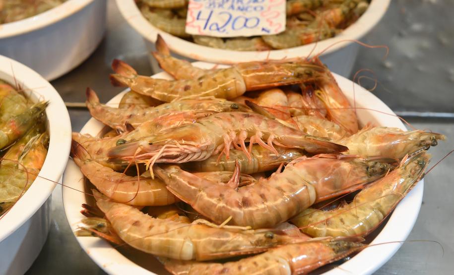 Foto de camarões pescados