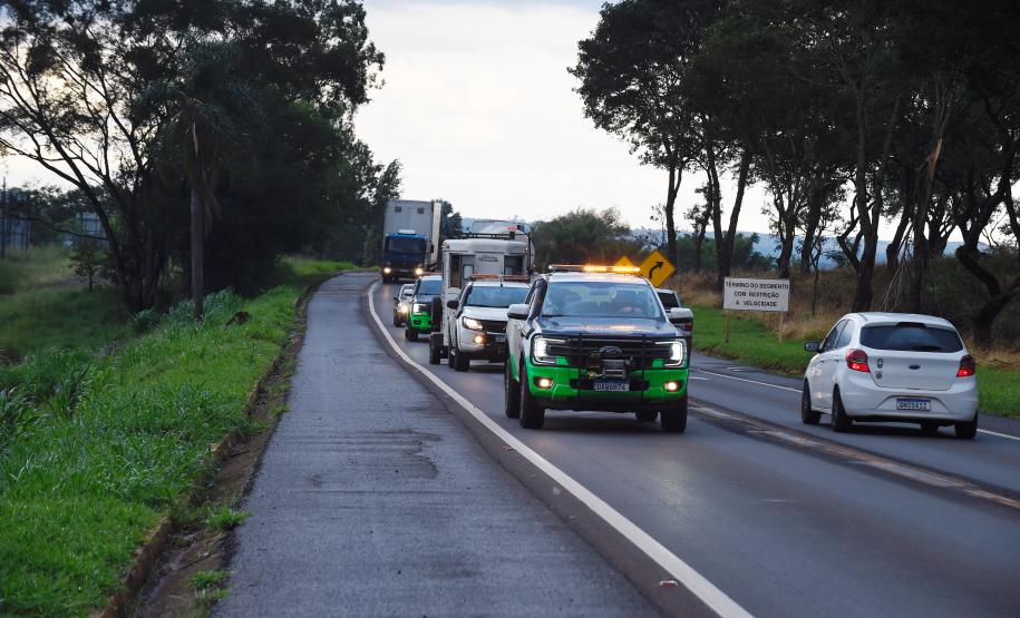 Foto de soltura de pacas e cotias