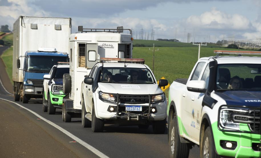Foto de soltura de pacas e cotias