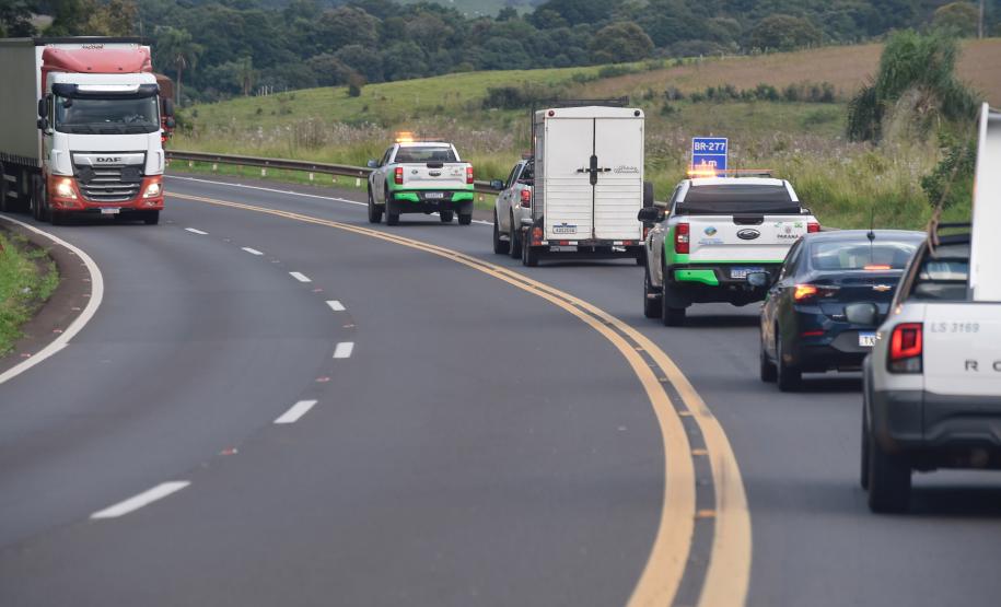 Foto de soltura de pacas e cotias