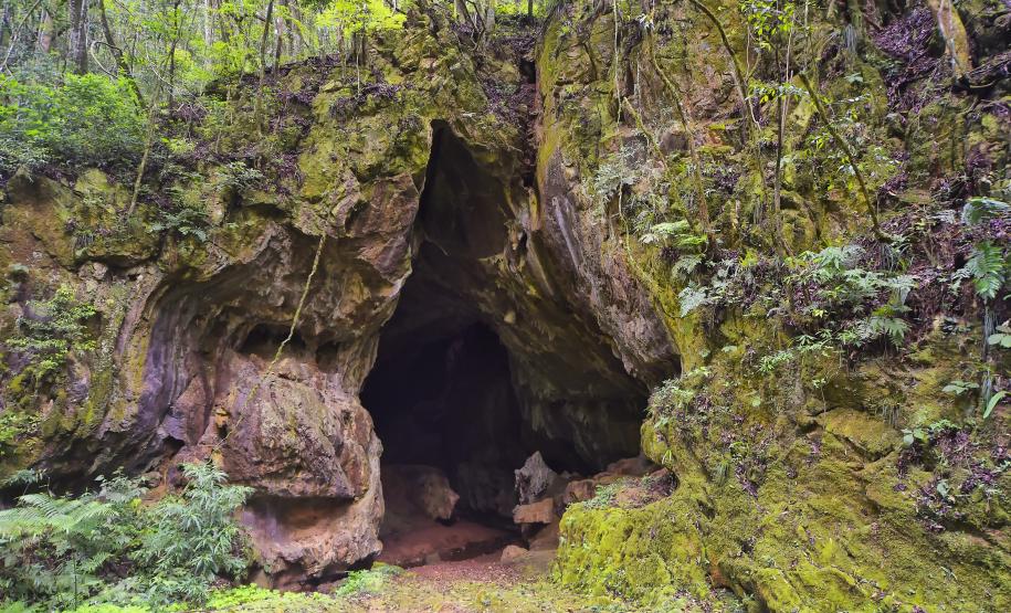 Foto de passeio no Paraná