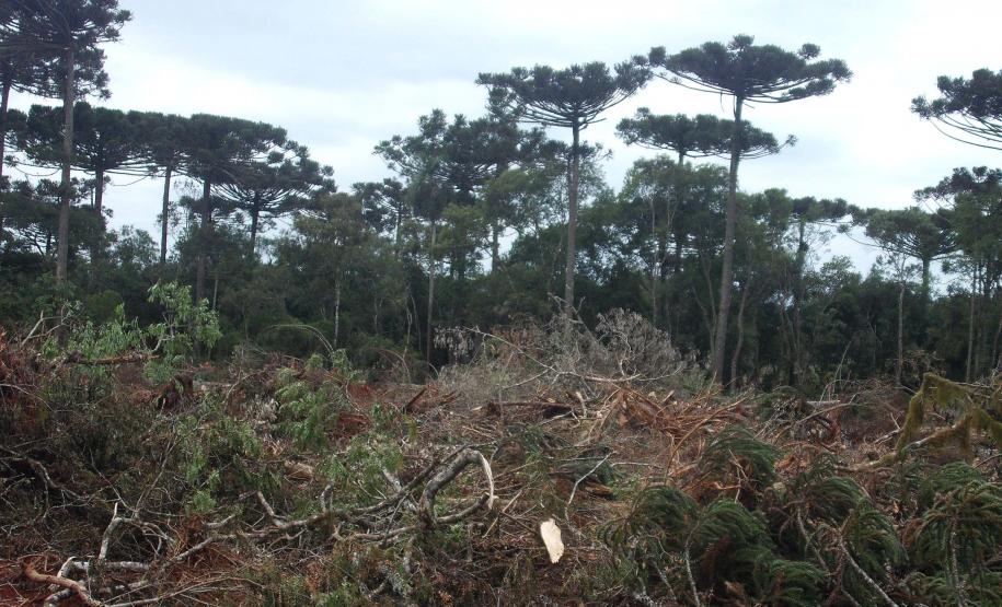 Foto de paisagem no Paraná