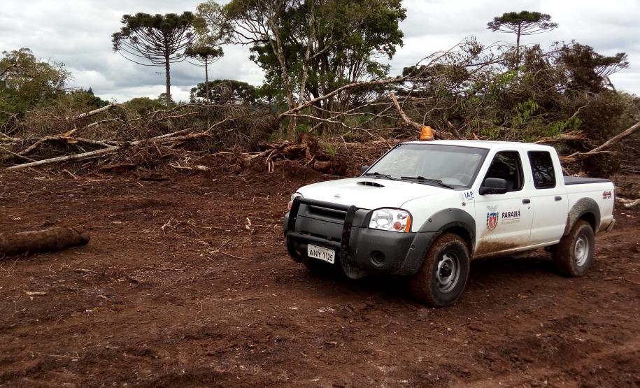 Foto de paisagem no Paraná