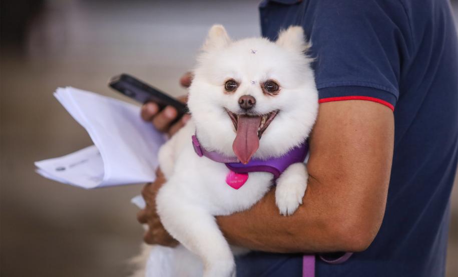 Foto de pessoa segurando cachorro