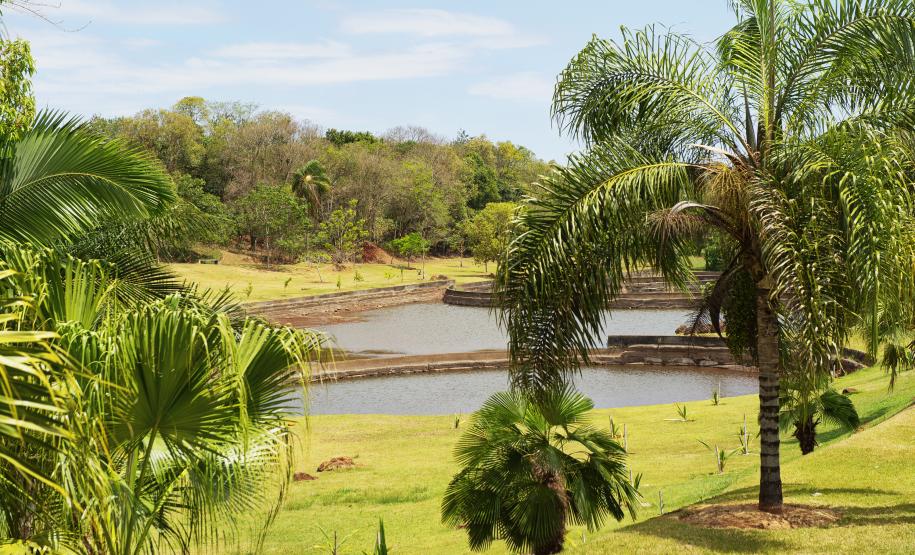 Foto de passeio no Paraná