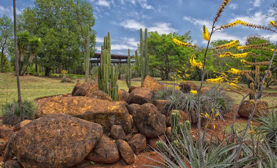 Foto de parque estadual do Paraná