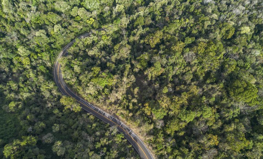 Foto de parque estadual do Paraná