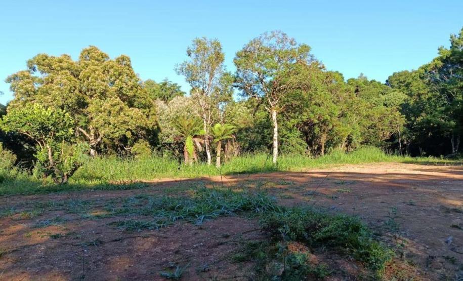 Foto de operação de fiscalização do IAT