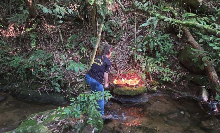 Foto de operação de fiscalização do IAT