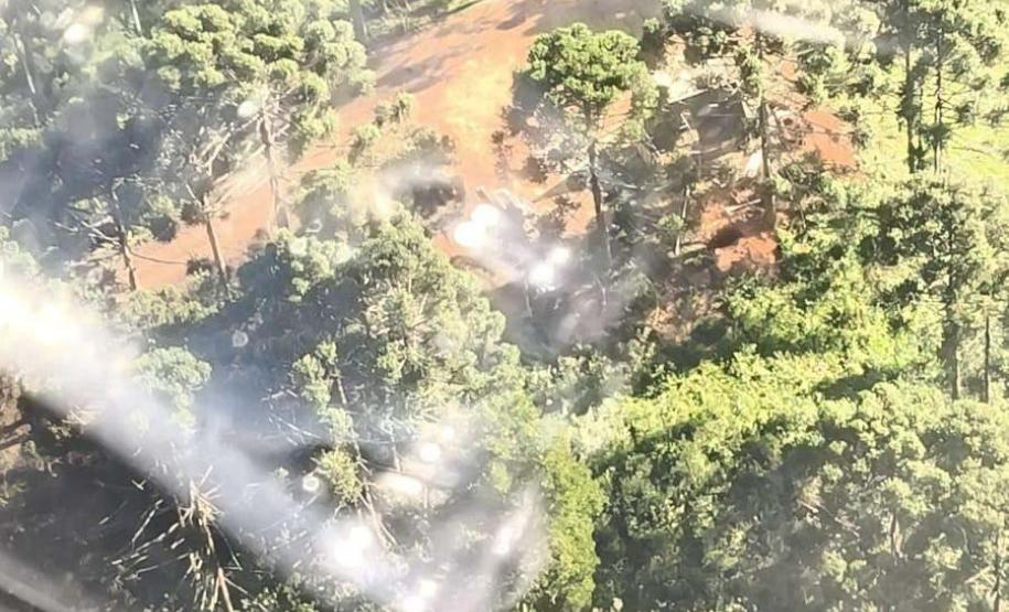 Foto de operação de fiscalização do IAT