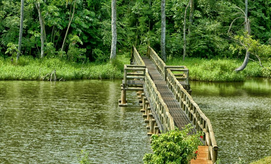 Foto de parque estadual do Paraná