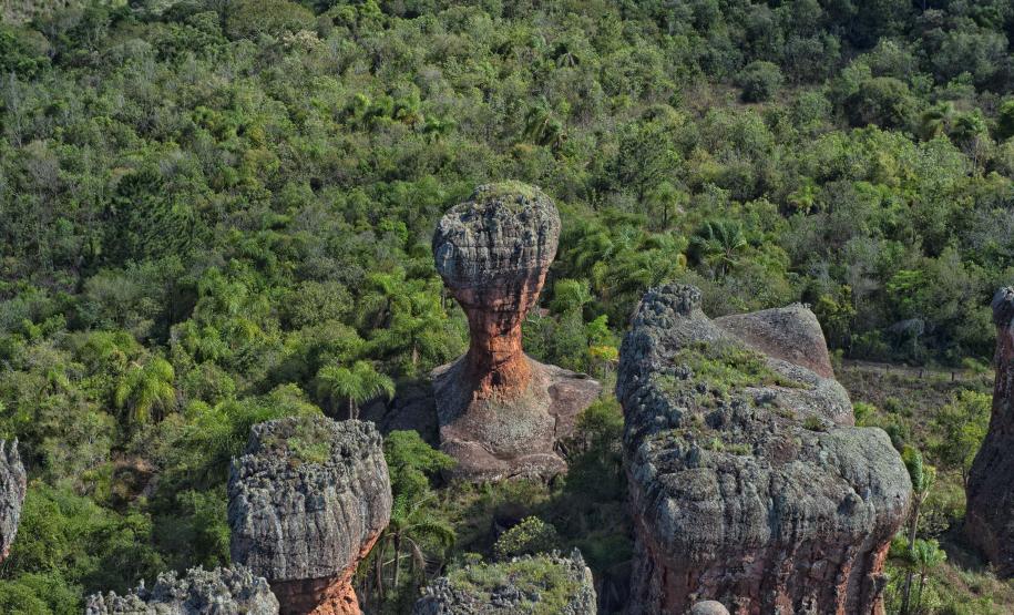 Foto de parque estadual do Paraná
