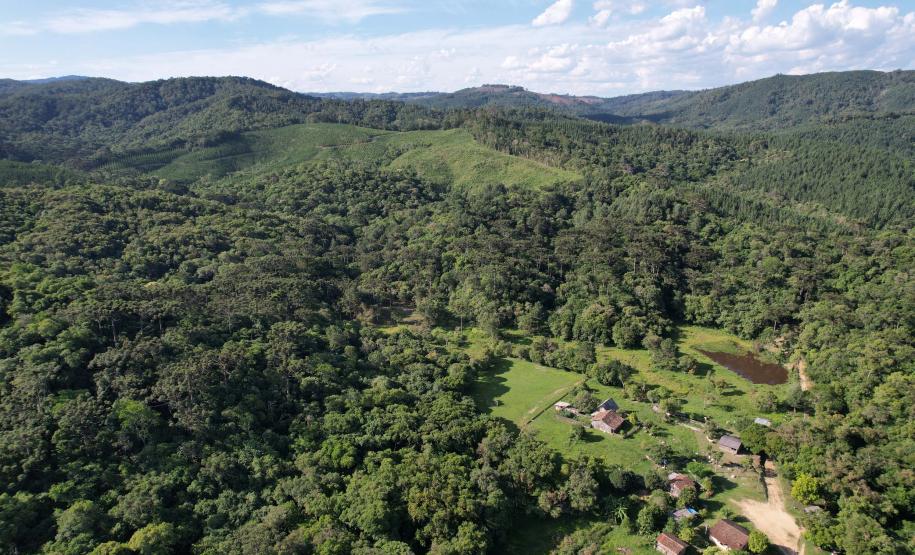 Foto de área de nova UC do Paraná