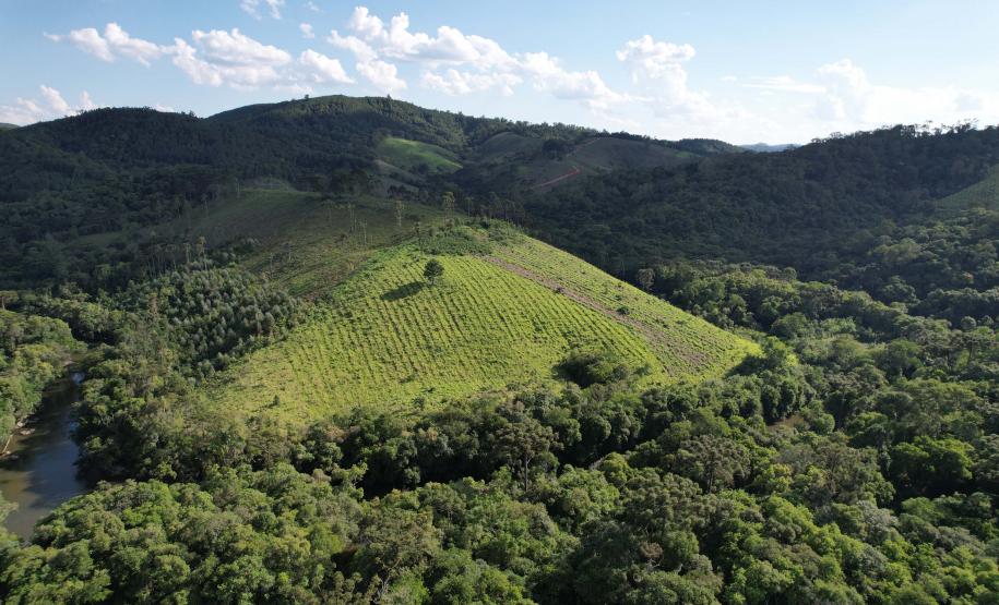 Foto de área de nova UC do Paraná