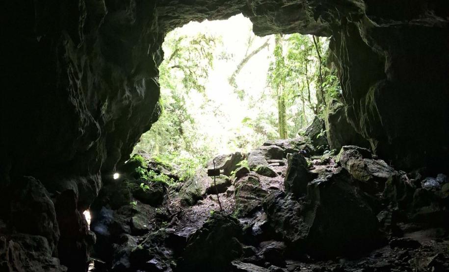 Foto de área de nova UC do Paraná