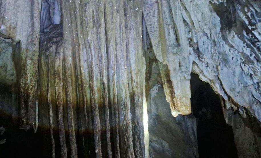 Foto de área de nova UC do Paraná