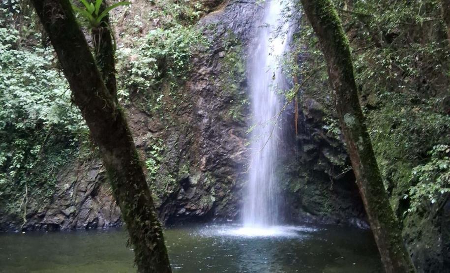 Foto de área de nova UC do Paraná