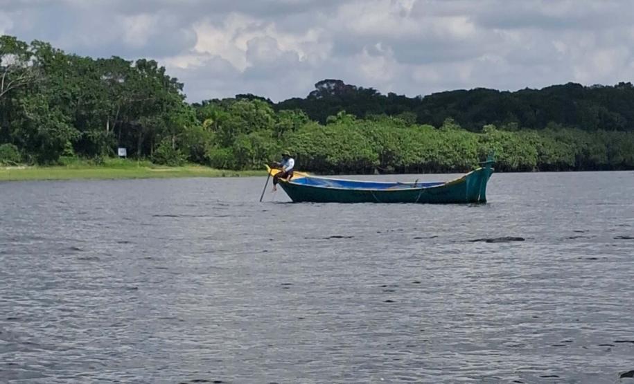 Foto de área de nova UC do Paraná