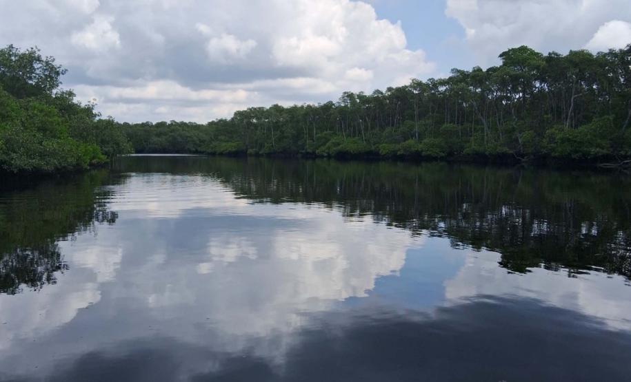 Foto de área de nova UC do Paraná