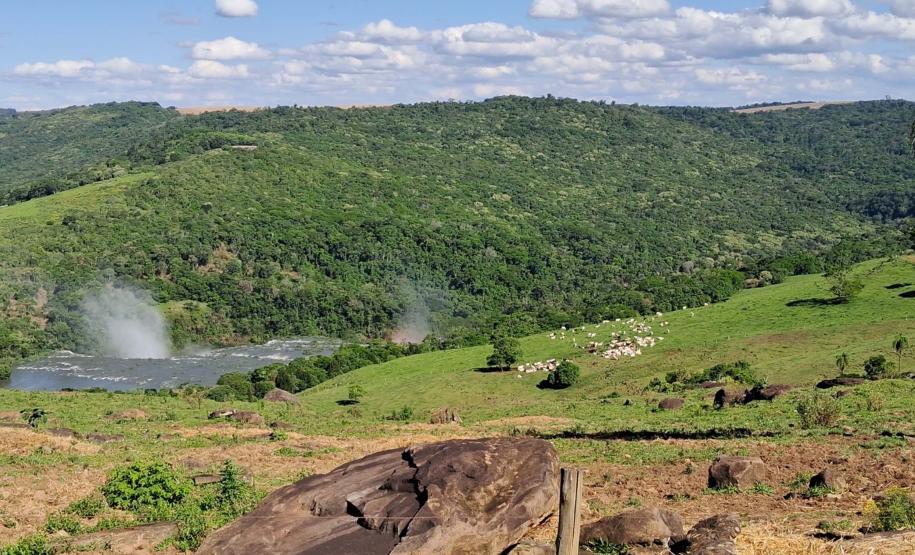 Foto de área de nova UC do Paraná