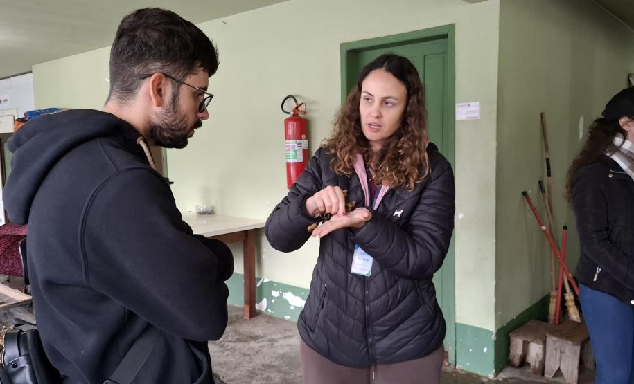 Foto de estudantes conhecendo viveiro do IAT