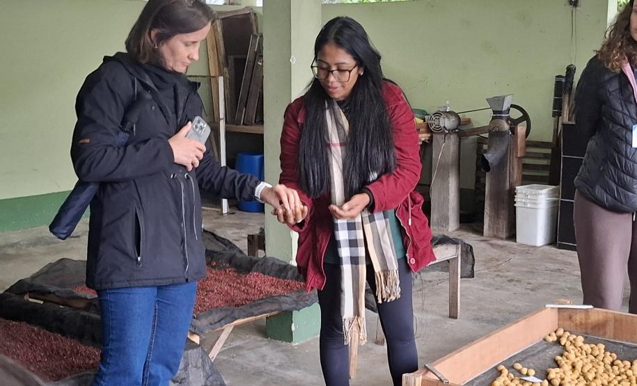 Foto de estudantes conhecendo viveiro do IAT