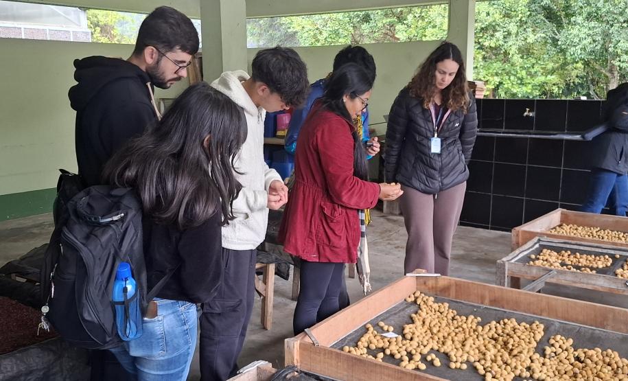 Foto de estudantes conhecendo viveiro do IAT