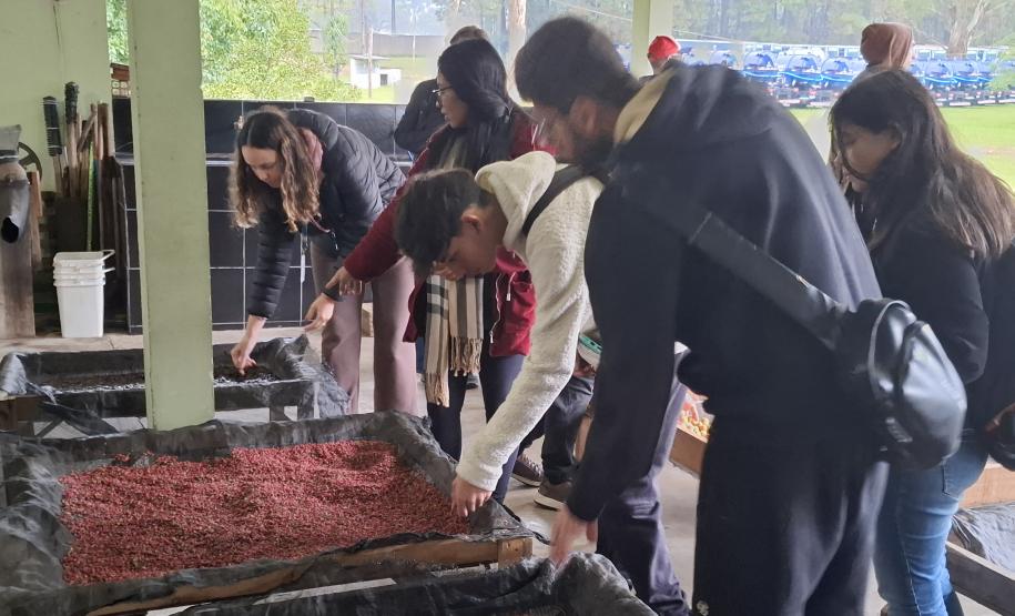 Foto de estudantes conhecendo viveiro do IAT