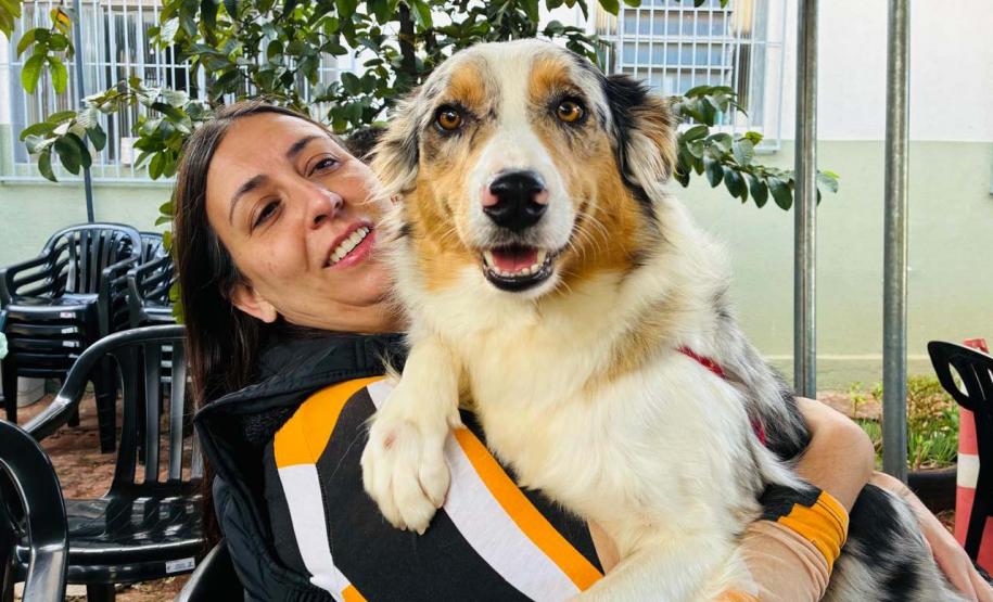 Foto de animais atendidos pelo CastraPet Paraná