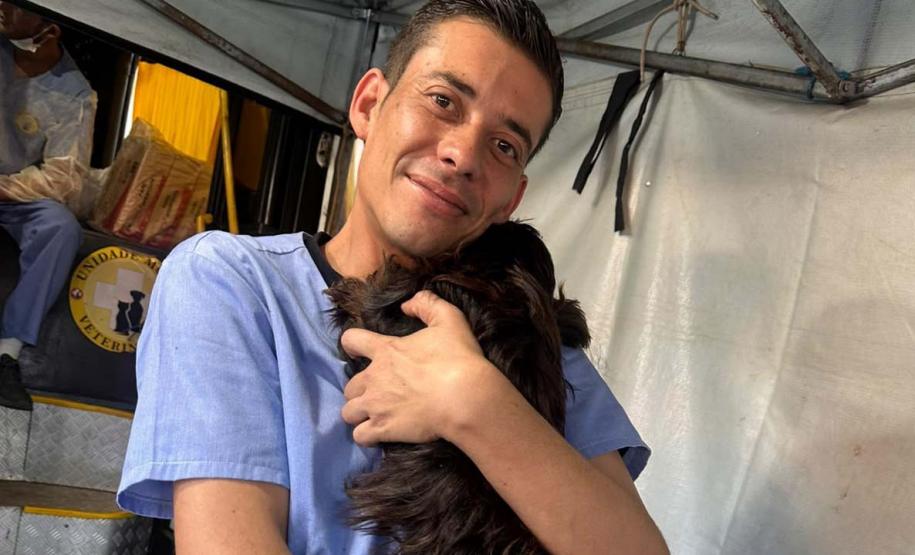 Foto de animais atendidos pelo CastraPet Paraná