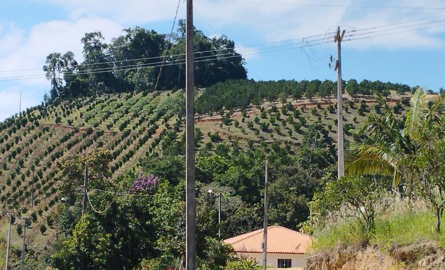 Foto de processo de regularização fundiária em Cerro Azul