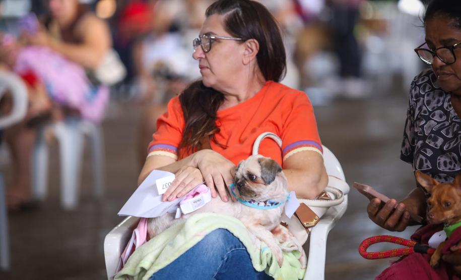 Foto de cachorros atendidos pelo CastraPet Paraná