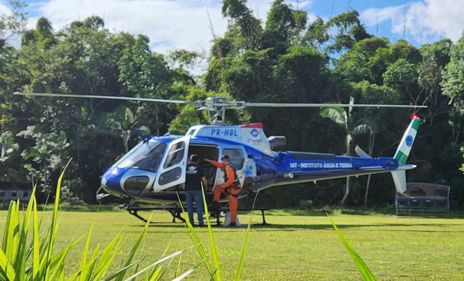 Foto de dispersão de sementes de Palmito no litoral