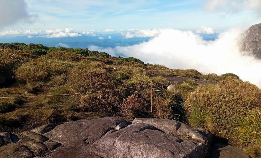 Foto de áreas cercadas do Parque Pico Paraná