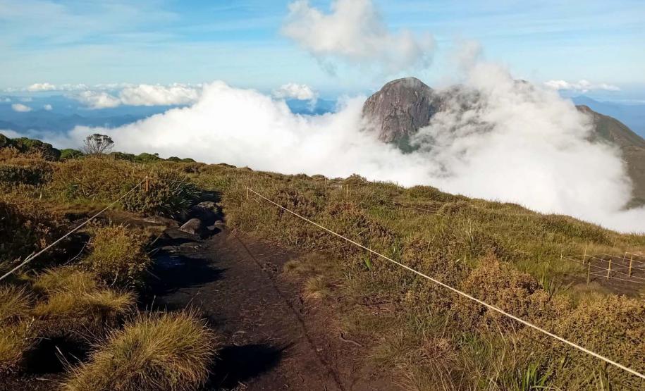 Foto de áreas cercadas do Parque Pico Paraná